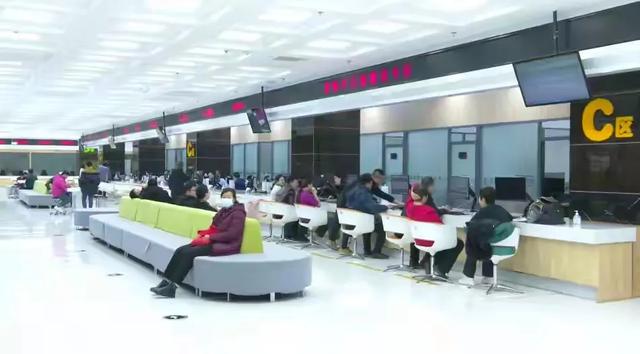 女子失业：申请社保补贴被拒，“高管”身份误登记 